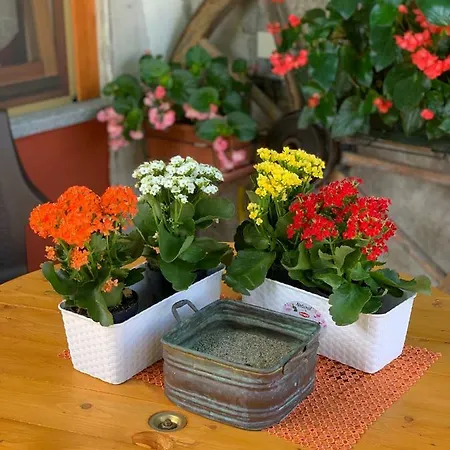 Des Bons Moments Apartmán Issogne
